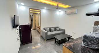 1 BHK Builder Floor For Rent in South City 1 Gurgaon 6251634