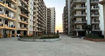 2 BHK Apartment For Resale in Ballabhgarh Sector 65 Faridabad 6251928