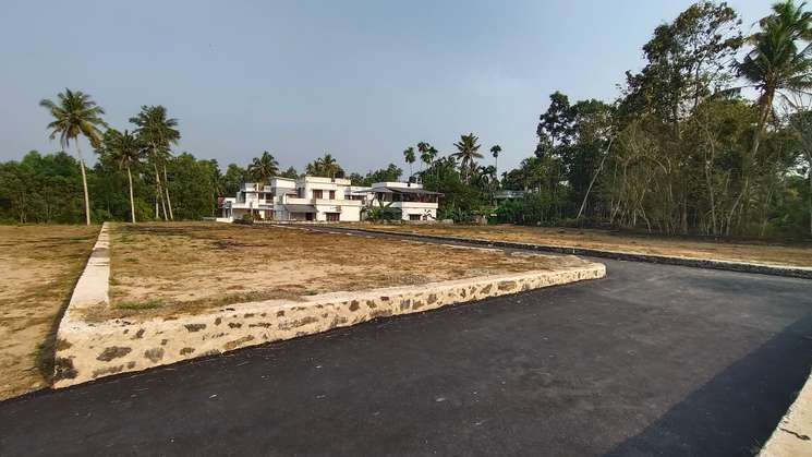 15 Cents Plot For Sale In Ernakulam