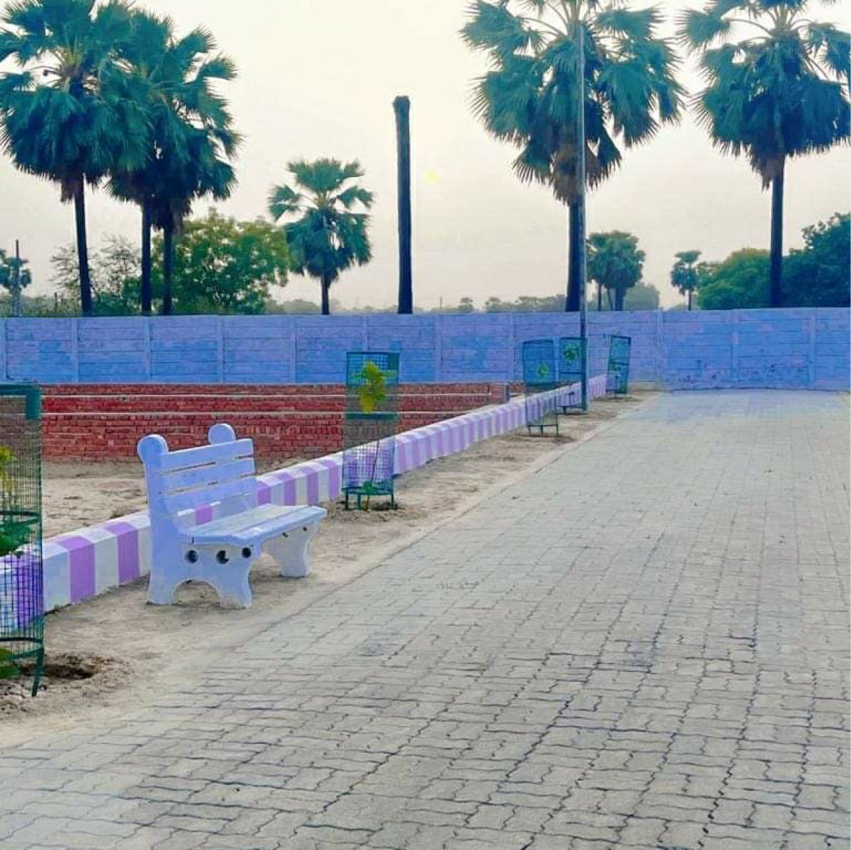 Plot For Resale in Jewar Greater Noida  6252126