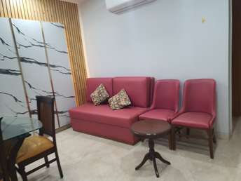 3 BHK Builder Floor For Rent in RWA C3 Block A Janakpuri Janakpuri Delhi 6252195