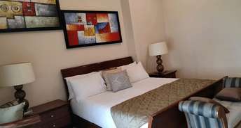 1 BHK Apartment For Rent in Baani City Center Sector 63 Gurgaon 6252212