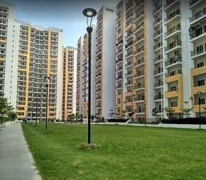 2 BHK Apartment For Rent in Panchsheel Greens Noida Ext Sector 16 Greater Noida 6252244
