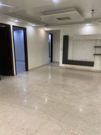 3.5 BHK Builder Floor For Rent in RWA Block A2 Paschim Vihar Paschim Vihar Delhi 6252473