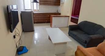 2 BHK Apartment For Rent in Tulip Lemon Sector 69 Gurgaon 6252655