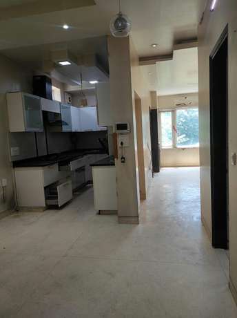 3 BHK Builder Floor For Rent in Paschim Vihar Delhi 6252791