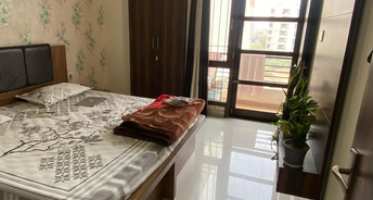 1 BHK Apartment For Rent in Kst Chattarpur Villas Chattarpur Delhi 6253079