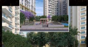 1 RK Apartment For Rent in DLF Capital Greens Phase I And II Moti Nagar Delhi 6253920
