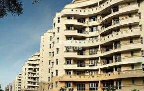 1 BHK Apartment For Rent in Eldeco Utopia Sector 93a Noida 6254004