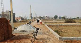  Plot For Resale in Sector 21d Indira Enclave Faridabad 6254052