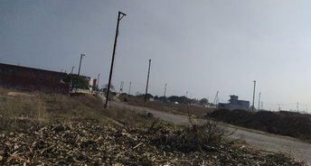  Plot For Resale in Noida Ext Sector 10 Greater Noida 6254134