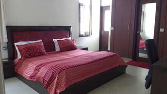 3 BHK Apartment For Rent in RWA Saket Block D Saket Delhi 6254400