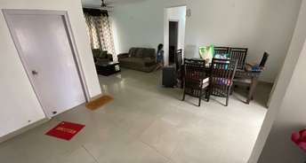 3.5 BHK Apartment For Resale in Victory Infra Crossroads Sector 143b Noida 6254574