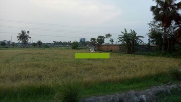 Plot Area in  Land at Vesu – for Rent