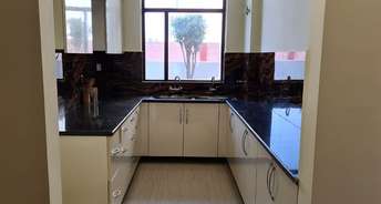 3 BHK Apartment For Resale in NK Sharma Savitry Towers Sas Nagar Chandigarh 6255143