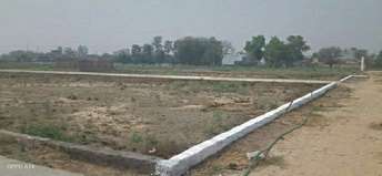 Plot For Resale in Sector 81 Noida  6255386