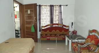 1 BHK Apartment For Rent in Sunrise CHS Fursungi Fursungi Pune 6255855