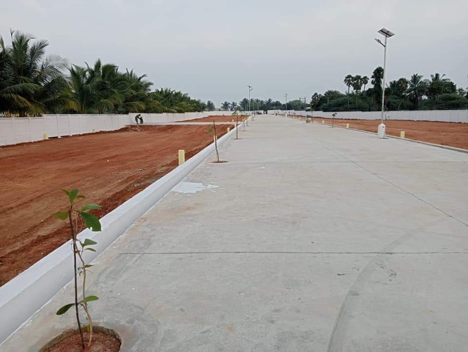 Resale 3000 Sq.Ft. Plot in Trichy Airport Trichy 6256172