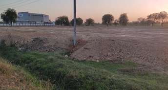  Plot For Resale in Bhavanpur Ahmedabad 6256552