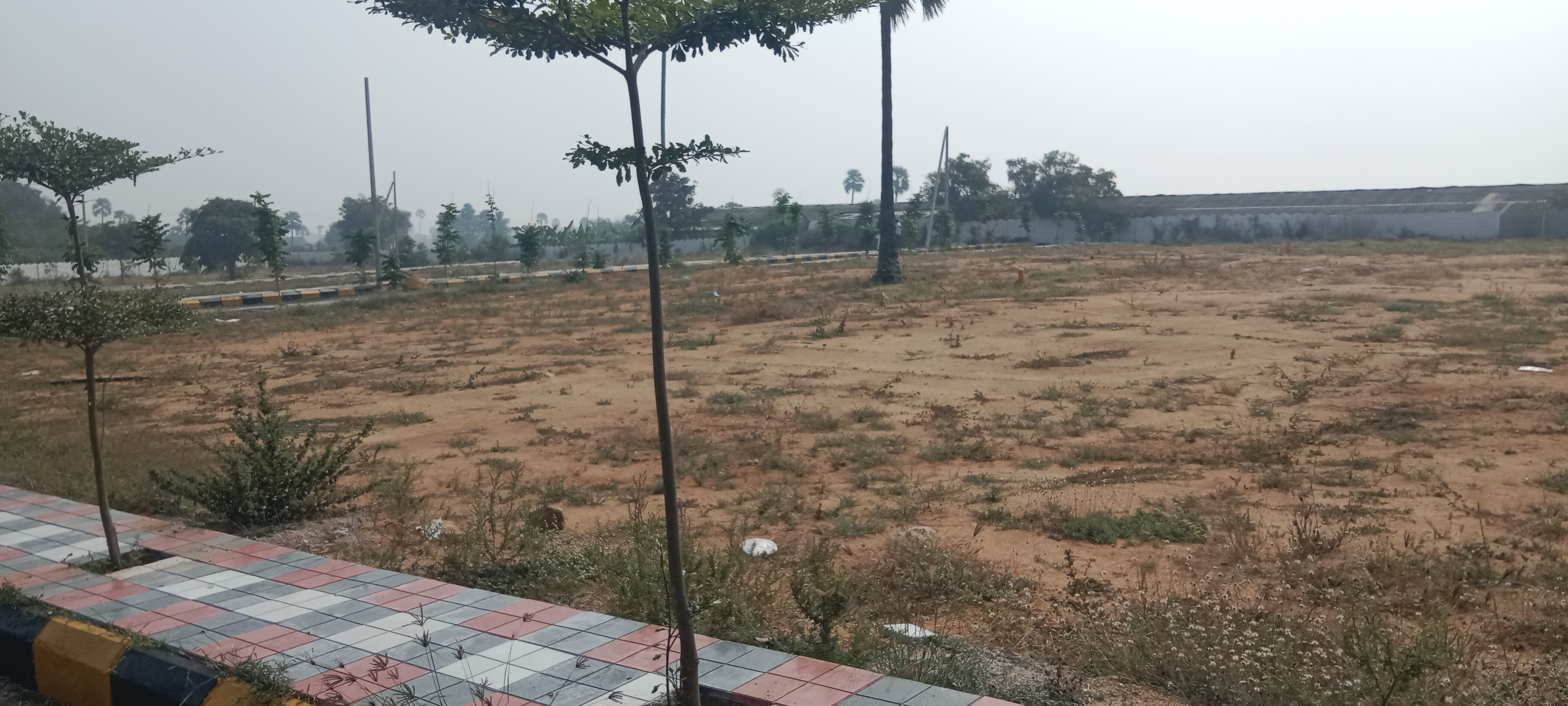 Plot For Resale in Yousufguda Hyderabad  6257142