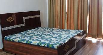 3.5 BHK Apartment For Resale in 3C Lotus Boulevard Sector 100 Noida 6257227