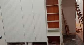 2 BHK Builder Floor For Rent in Rohini Sector 8 Delhi 6257614
