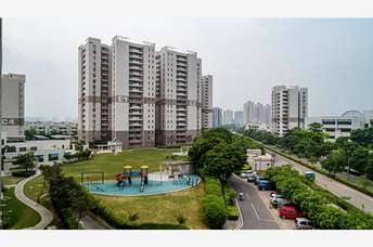 3 BHK Apartment For Rent in Vatika Gurgaon 21 Sector 83 Gurgaon  6203376