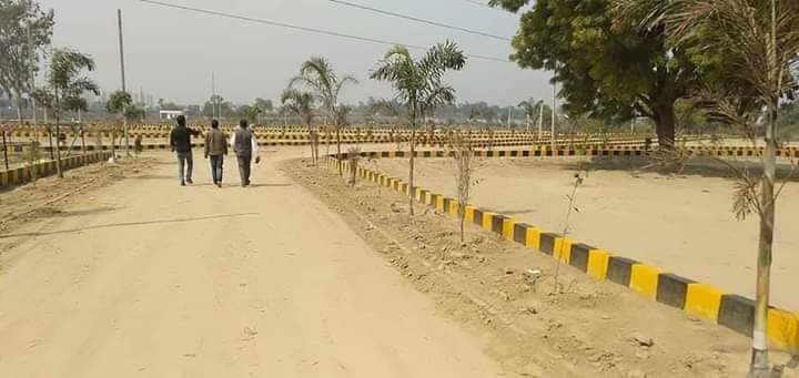 Plot For Resale in Faizabad Road Lucknow  6258269