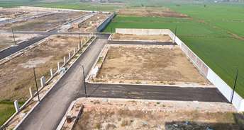  Plot For Resale in ROF Ambliss Sector 78 Gurgaon 6258427