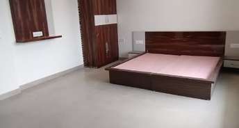 1 RK Builder Floor For Rent in Alpha G Gurgaon One Sector 47 Gurgaon 6258927