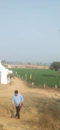 Plot For Resale in Tappal Aligarh  6259087