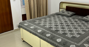 2 BHK Apartment For Rent in Jal Vayu Vihar Noida Sector 21 Noida 6259319