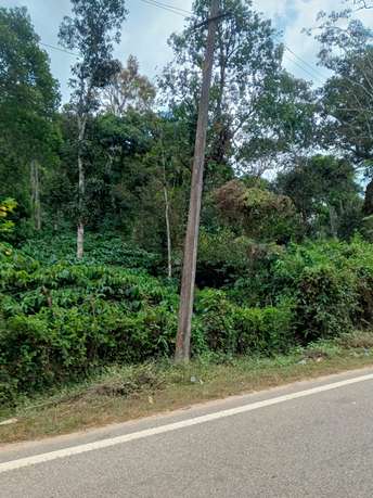 Commercial Land 200000 Sq.Ft. For Resale In Madikeri Coorg 6259474