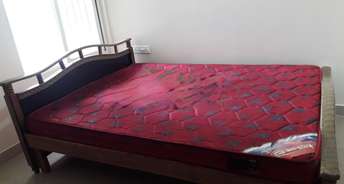 3 BHK Apartment For Rent in Oceanus Vista II Marathahalli Orr Bangalore 6259806