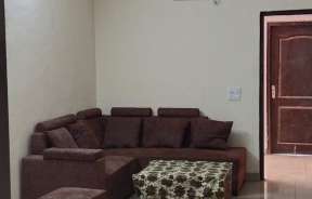 2 BHK Apartment For Rent in VVIP Addresses Raj Nagar Extension Ghaziabad 6259998