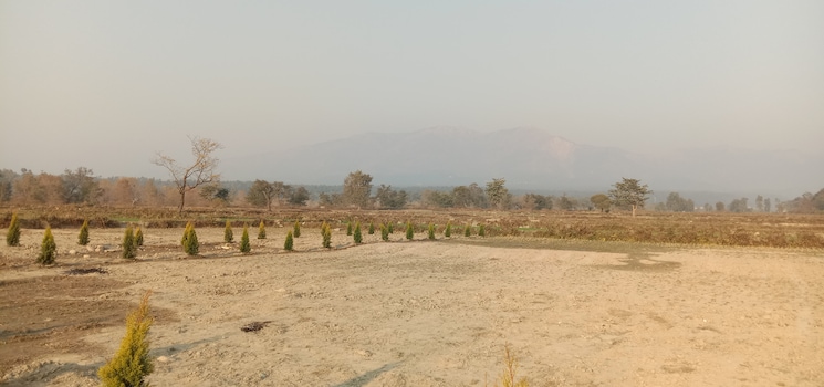 Sarpanch Plots