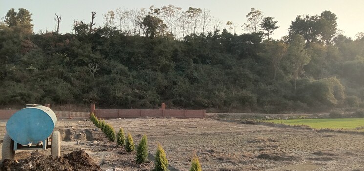 undefined, selakui  200 Sq.Yd. Plot In Selakui Dehradun 6260120