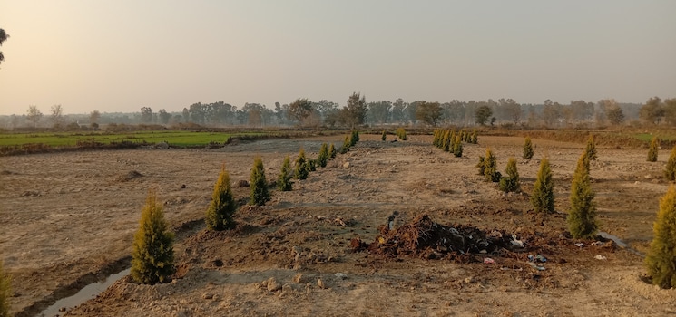 undefined, selakui  200 Sq.Yd. Plot In Selakui Dehradun 6260120