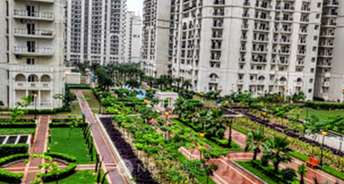 3 BHK Apartment For Rent in DLF Capital Greens Phase I And II Moti Nagar Delhi 6260372