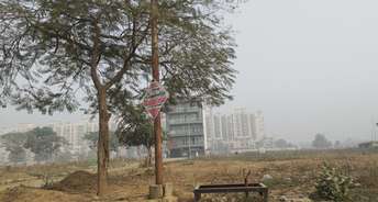  Plot For Resale in Sector 85 Faridabad 6260869