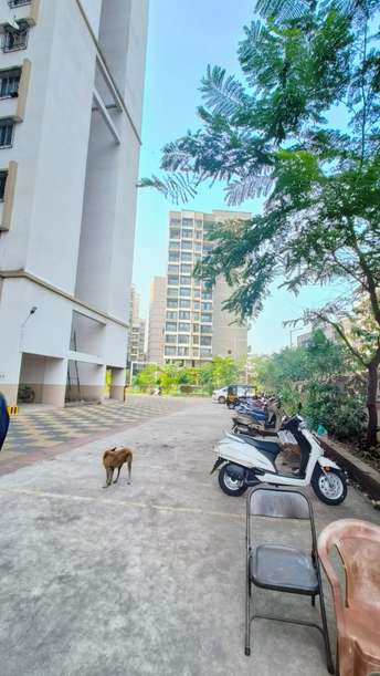 1 BHK Apartment For Rent in Mhada Complex Virar Virar West Mumbai 6261057