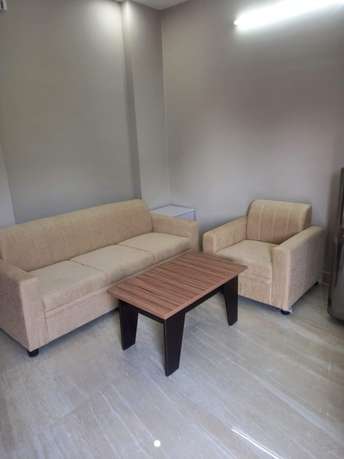 1 BHK Apartment For Rent in Sector 43 Gurgaon 6261305