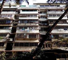 2 BHK Apartment For Rent in Dharam Jyot Apartment Bandra West Mumbai 6262101