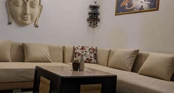 2 BHK Apartment For Rent in Mittal Rajnagar Residency Raj Nagar Extension Ghaziabad 6262133