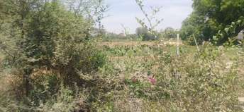 Commercial Industrial Plot 4500 Sq.Ft. For Resale in VadodarA-Halol Highway Vadodara  6262316