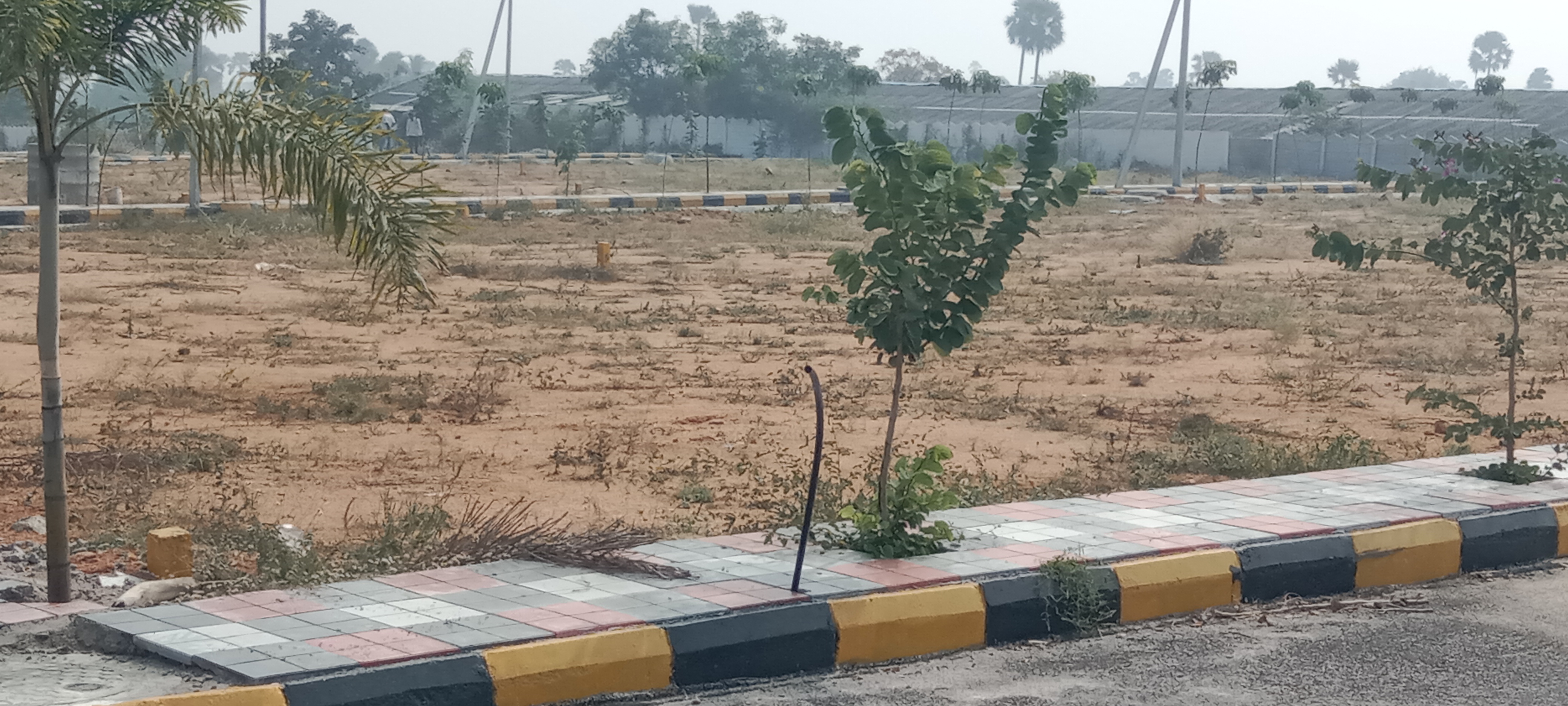 Plot For Resale in Financial District Hyderabad  6262474