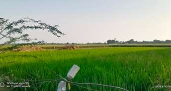 Commercial Land 15 Acre For Resale In Nawabganj Unnao 6262522