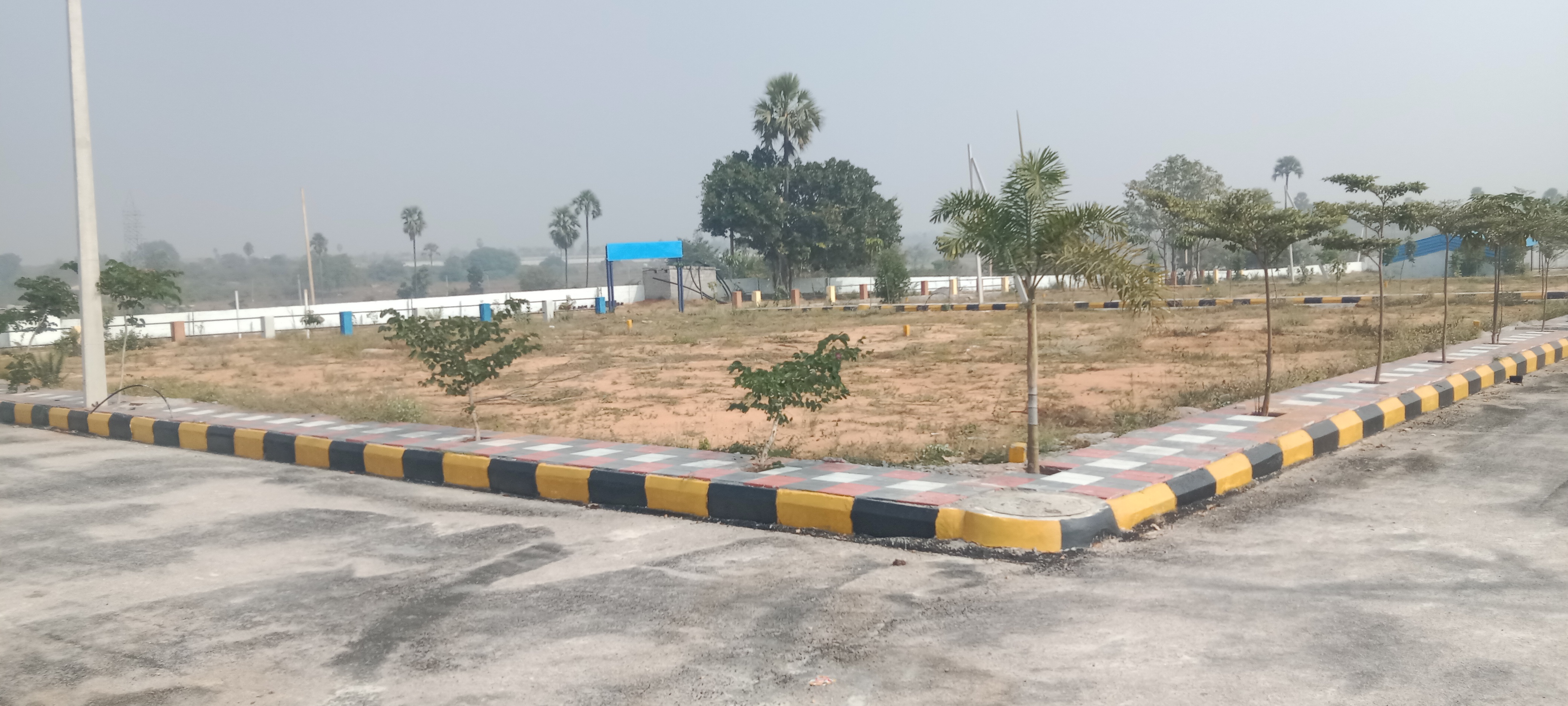  Plot For Resale in Narsingi Hyderabad 6262548