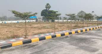  Plot For Resale in Chikkadpally Hyderabad 6262695