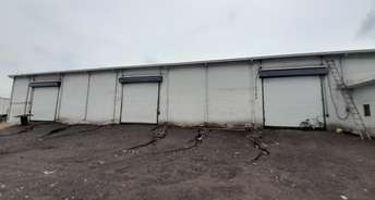 Commercial Warehouse 5000 Sq.Yd. For Rent In Bhanpuri Raipur 6264509